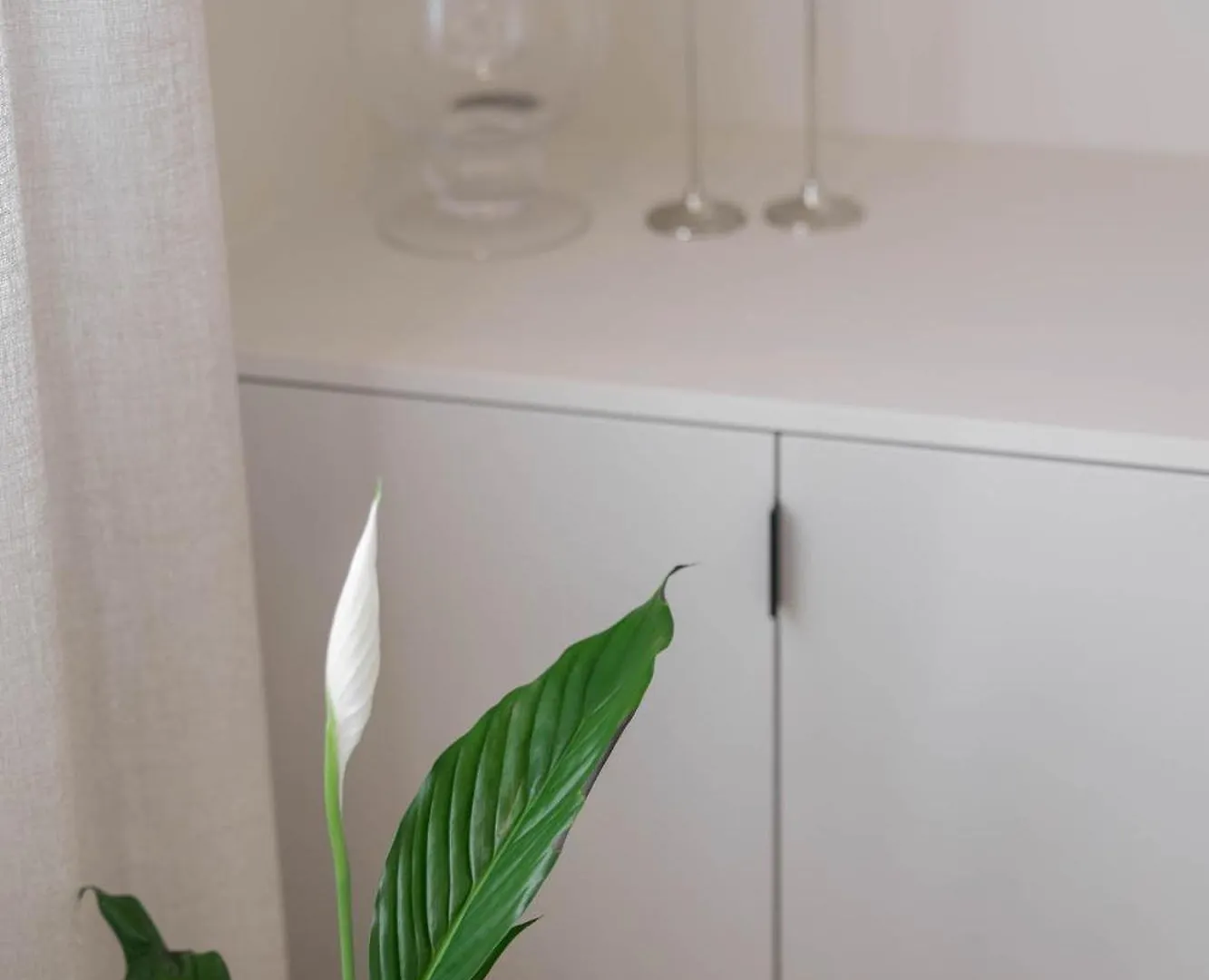Apartment Apartman Kim Rijeka